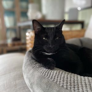 Meet your Posher, Jeff